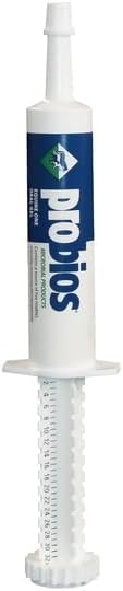 BIOMAC Probios Microbiotic 젤, 30gm