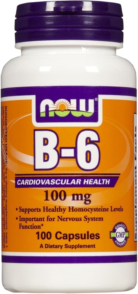 지금 음식 B-6 100 mg