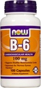 지금 음식 B-6 100 mg