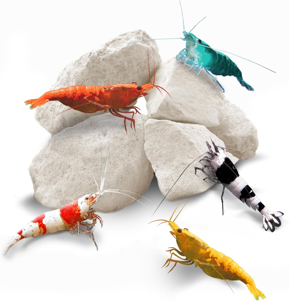 SunGrow Shrimp Rocks, 칼슘, Crayfish, Hermit Crab, Snails, Crustacean Care, Crystal Red, Amano 및 Ghost Shrimps, Nano Tank Accessories, Fish Tank Supplies를 위한 마그네슘 락