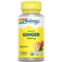SOLARAY 유기 제빙기 1080 mg - 유기 제빙기 보충 교재 - 동의 찰상, 지원 합동 건강 - Vegan, 비 돌리, 60 일 보장, 50의 서빙과 관련이 있는 Nausea와 Vomiting를 구호하십시오
