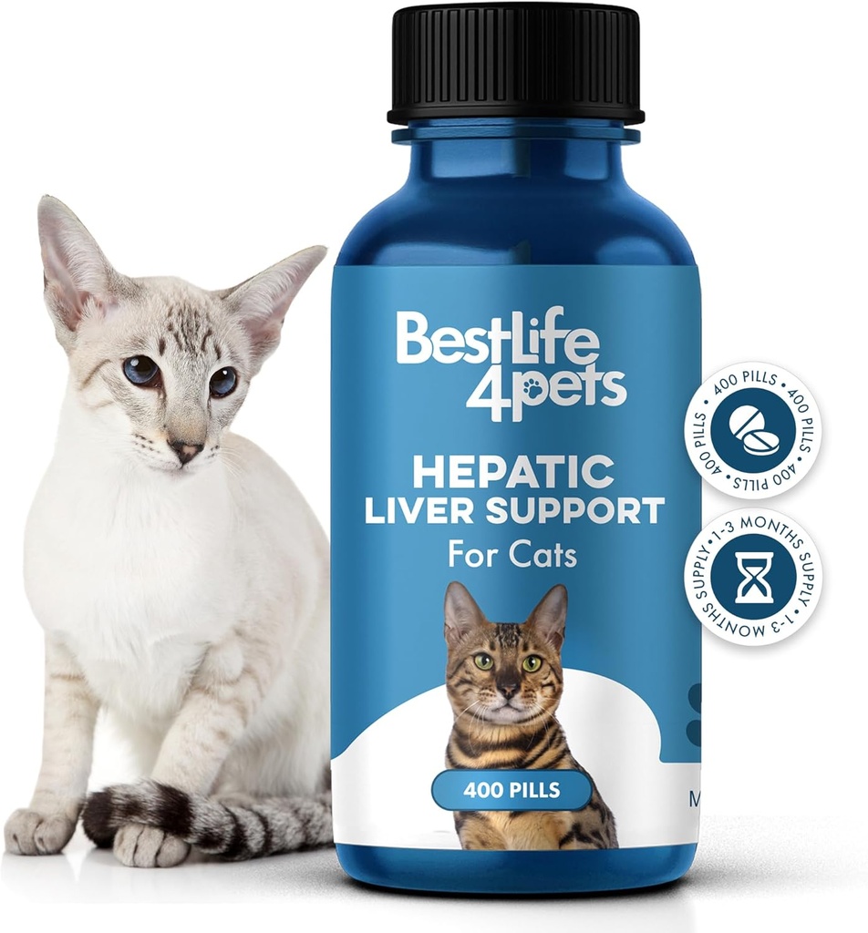 Cats Dissolvable,Homeopathic, Liver Detox 및 Nutrient 흡수를 위한 소화적인 Feline 보충교재를 위한 Hepatic Liver 지원 100% 자연적인, 화학물질 또는 첨가물의 자유로운, 400 알약