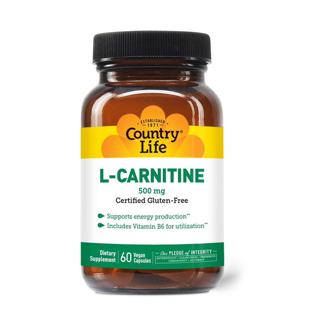 국가 생활 L-Carnitine 500mg – 60 Vegan 캡슐 | 지원 에너지 생산 & 지방 대사 | 포함 비타민 B6 Utilization | Gluten-Free, 공인 Vegan 아미노산 보충교재