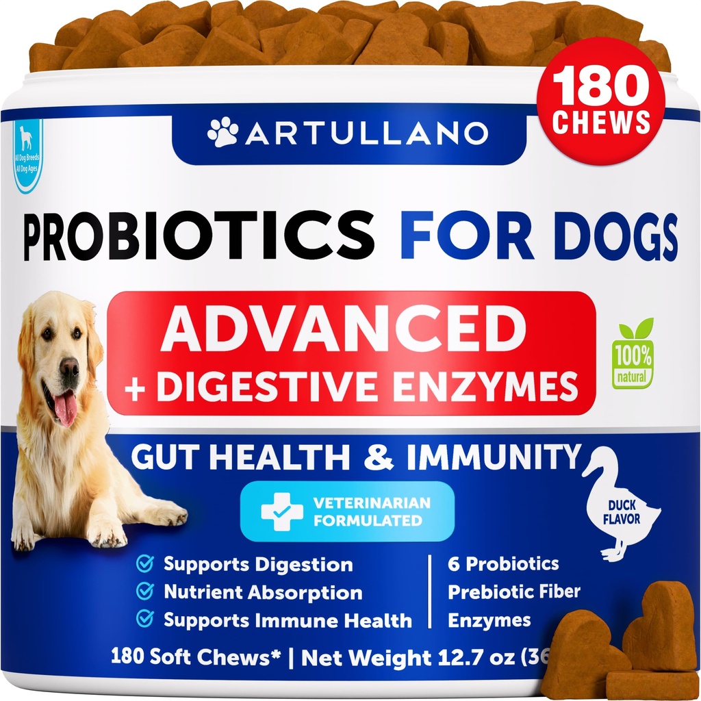 개를위한 Probiotics - 지원 계피 건강, 가려움증 피부, 알레르기, 면역, 효모 균형 - 개 프로바이오틱스 및 소화 효소 Prebiotics - Diarrhea, 가스 감소 - 180 개를위한 Probiotic Chews