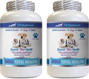 PET SUPPLEMENTS & NUTRITION LLC Dog Dental Hygiene - Dogs Total Health Control - Immune Support - Hair Skin Nails Oral Eye Health Formula - 개를 위한 구두 칼슘 - 2 병 (120 치료)