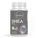 DHEA 100mg | 비 GMO | 글루텐 프리 보충 | 60 캡슐