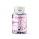 Hyland의 Kids Organic Elderberry Plus Gummies, ZINC 및 비타민 C가있는 유기 블랙 엘더 베리, 아이들을위한 면역 지원, 48 Vegan Gummies