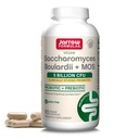 Jarrow Formulas Saccharomyces Boulardii + MOS Probiotics for Digestive Health and Intestinal Tract Support - 봉사 당 5 억 CFU - 90 지연 릴리즈 캡 - Probiotic + Prebiotic - 90 서빙