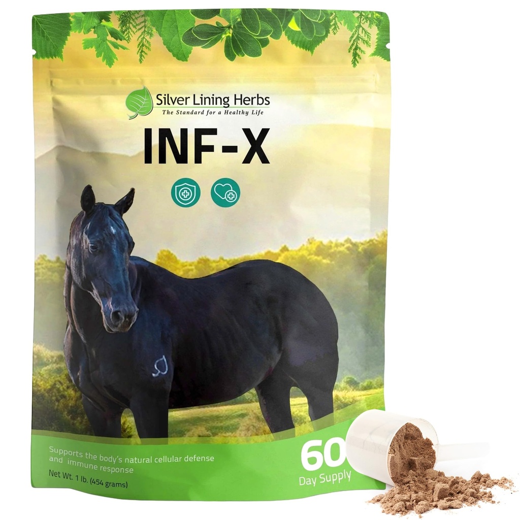Silver Lining Herbs Equine INF-X - 지원 말 스트레스 완화 및 좋은 박테리아의 건강한 수준 - Equine 면역 체계를 위한 자연적인 지원 - Equine Detoxification를 위한 초본 보충교재 - 1개 lb