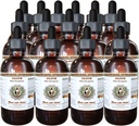 HawaiiPharm Olive (Olea Europaea) 유기 건조 잎 수의 천연 알코올 무료 액체 추출물, 애완 동물 초본 보충 15x4 oz