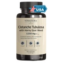 Horny Goat Weed 60% Icariin를 가진 VINATURA Cistanche - 봉사 당 1250mg, Cistanche Tubulosa, Cistanche 보충교재 남자, 에너지, 힘 Cognitive *USA 만들고 시험해 * - 60의 캡슐 30의 서빙