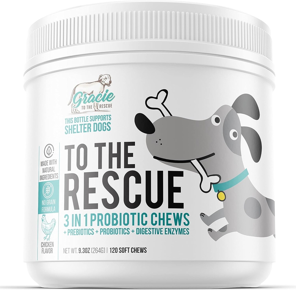 개, 지원 소화 건강, 개 Probiotics 및 소화 효소 효소, 개 Probiotic Chews, Probiotic Dogs, 강아지 Probiotic, 강아지 Probiotic, 개를위한 애완 동물 Probiotics - 120 소프트 Chews