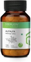 Sheltr Alfalfa 정제, Medicago Sativa, 모든 자연, 순수한 허브 500mg x 120 정제
