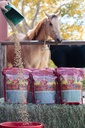 Mega Dose 40 lb, 말 가드 보충교재 & Hoof 가드의 가득 차있는 서빙을 가진 Equine 비타민 무기물