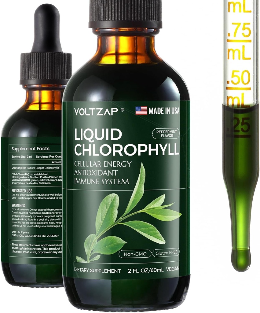 Chlorophyll 액체 낙하 - Immune 지원, 에너지 증가, 소화 지원, Gut & 피부 건강을 위한 우수한 액체 클로로필 보충교재 - 자연적인 & 비 GMO & Vegan Mint는 2fl.oz를 맛냈습니다