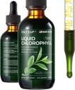 Chlorophyll 액체 낙하 - Immune 지원, 에너지 증가, 소화 지원, Gut & 피부 건강을 위한 우수한 액체 클로로필 보충교재 - 자연적인 & 비 GMO & Vegan Mint는 2fl.oz를 맛냈습니다