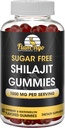설탕 무료 Shilajit Gummies (1000mg 서빙)- 자연 Himalayan 유기 Fulvic 산 Shilajit 남성과 여성을위한 보충 -60 거미 Chews