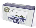 [펄 타입] 100 % 천연 브라운 해초 추출물 Fucoidan USFDA 합격 (ID 코드 2030950) (50g (20sachets)