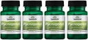 Swanson Pycnogenol 100 밀리그램 30 캡슐 4 팩