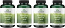 Swanson Stinging Nettle Leaf (Urtica Dioica) - Urinary Tract & Respiratory Health Support를 홍보하는 초본 보충 - 건강한 유동성 균형을 지원 할 수있다 - (120 캡슐) (4 팩)