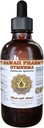 HawaiiPharm Gymnema (Gymnema Sylvestre) 액체 추출물 4개 oz