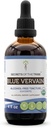 Tribe Blue Vervain USDA Organic의 비밀 | 알코올 프리 추출물, 고순도 허브 드롭 | 100 % 인증 유기농 블루 베바린 (Verbena Hastata) 건조 허브 (4 oz)