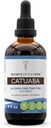 Tribe Catuaba 알코올 무료 액체 추출물의 비밀, Wildcrafted Catuaba (Erythroxylum vacciniifolium) 건조 된 Bark Tincture 보충 (4 FL OZ)