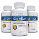Gut Alive - Fight IBS, Heartburn, Acid Indigestion, Acid Reflux, Bloating & Gas에 대한 모든 자연 지원. 독특한 정립 (60 개)