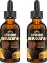 Ceylon Cinnamon 3000mg - 높은 생체 이용성 Liposomal Berberine 액체 하락, Berberine HCL Complex 플러스 심황 보충교재, 여성을 위해 적당한 AMPK 활성제, Men-120ml를 가진 Berberine 보충교재