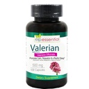 Valerian 뿌리 캡슐 유기 500mg 허브 추출물 보충교재 100 알약