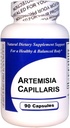 Artemisia Capillaris (90 캡슐) - 집중된 초본 추출물 - 규정식 보충교재