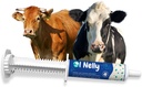 Ruminants Pre and Probiotic Paste (80g) - 비타민과 미네랄 - 6 Strains 및 8 Billion CFU- Immune 및 Gastro Health Support for All Ruminants : Bovines, Goats & More