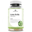 Nature Restore Gotu Kola Extract 보충 교재, 미국, 90 캡슐, 비 GMO, 글루텐 무료, 비건