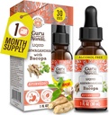 GuruNanda Liquid Ashwagandha with Bacopa (1 Fl Oz) - 천연 다이어트 보충 - 남성 및 여성 채식 및 알코올 무료 - 면역, 초점 및 휴식 지원