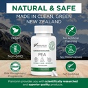 Palmitoylethanolamide Pea 보충교재 600mg - Micronized Pea는 99% - 2 달 공급을 보충합니다 - 합동 안락을 위한 진보된 자연적인 지원