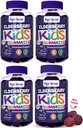 아연과 비타민 C (4 팩)를 가진 중대한 아이 Elderberry Gummies | 아이 면역 지원 Sambucus Elderberry Gummies | Berry flavored Vegan Kids Multivitamins | 병 당 90의 Gummies