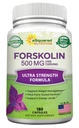 aSquared 영양 Forskolin 500mg 최대 힘 180 캡슐, 순수한 체중 감소 연료, Coleus Forskohlii 뿌리를 위한 Forskolin 보충교재 - Forskolin Diet 알약, Belly Buster 뚱뚱한 가열기 2X 호리호리한 손질 Lose