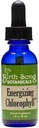 Chlorophyll Tincture, Super Concentrated Liquid Chlorophyll Drops, Herbal Energy Support Supplement 및 Internal Deodorizer, Mint flavor 1oz Bottle을 Energizing 송 식물