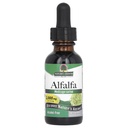 Nature 's Answer Alcohol-Free Alfalfa 허브 추출물, 1-Fluid Ounce는 면역 시스템, 혈액, 소화, 에너지 레벨을 지원합니다. Detoxification