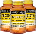 Prebiotic을 가진 Mason 자연적인 Probiotic, 정상적인 소화 기능 & 개량한 Gut 건강을 위한 120 일 공급, 3 팩