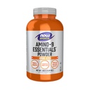 지금 스포츠 영양, Amino-9 EssentialsTM 분말, 강화 된 단백질 합성, 아미노산, 330-Grams