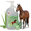 Doc Hoag의 알로에 Vera + Agave Premium Horse Supplement – 미국에서 만든 – 원래 Udder Balm – 말 및 대형 동물에 대한 천연 가스 지원 – 스트레스 릴리프 & Ulcer Care, 128 Fl Oz.