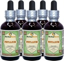 Psyllium (Plantago Ovata) Glycerite, 유기 건조 후스크 알코올 무료 액체 추출물 (브랜드 이름 : HerbalTerra, Proudly Made in USA) 5x2 fl.oz (5x60 ml)