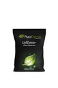 LiyfZyme - 1000 Vegan 캡슐 - 단백질, 지방 및 탄수화물 고장을위한 식물 기반 효소 보충