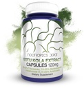 Nootropics Depot Gotu Kola Extract Capsules | 120mg | 90 Count | Acid resistant | Centella asiatica | 35-45% Triterpenes | 건강한 스트레스 레벨 지원 | Memory 증진