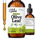 야생 & 유기 올리브 리프 추출물 액체 드롭 - 산화 방지제 & 면역 지원 - Olineurope 올리브 리프 보충 - Vegan, Sugar & Alcohol-Free Drops - 2 fl oz