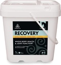 PURICA Recovery Extra Strength - Equine Joint Supplement - 말을위한 포괄적 인 지원 - 수석 말을위한 이상적인 말 합동 보충, MSM 파우더 포함 - 11 파운드 분말