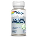 SOLARAY Bacillus Coagulans Probiotic - 5 억 라이브 미생물 - 소화 및 Gut 건강 지원 - Inulin Prebiotic Fiber, 60 일 보증, 30 Serv, 60 VegCaps를 가진 가득 차있는 몸 건강 Probiotics