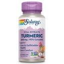 SOLARAY 심황 보충교재 600mg - 95% Curcumin를 가진 심황 뿌리 - 합동 지원 보충교재 - 합동 건강, Gallbladder 및 간결 지원, 비 GMO, Vegan, 글루텐 자유로운, 60 일 보장, 60의 서빙