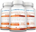 Bioperine® 및 Ginger- Boost Mood & Energy와 함께 승인 된 과학 Ashwagandha 1500mg - 60 Vegan 친절한 캡슐 (3 병)